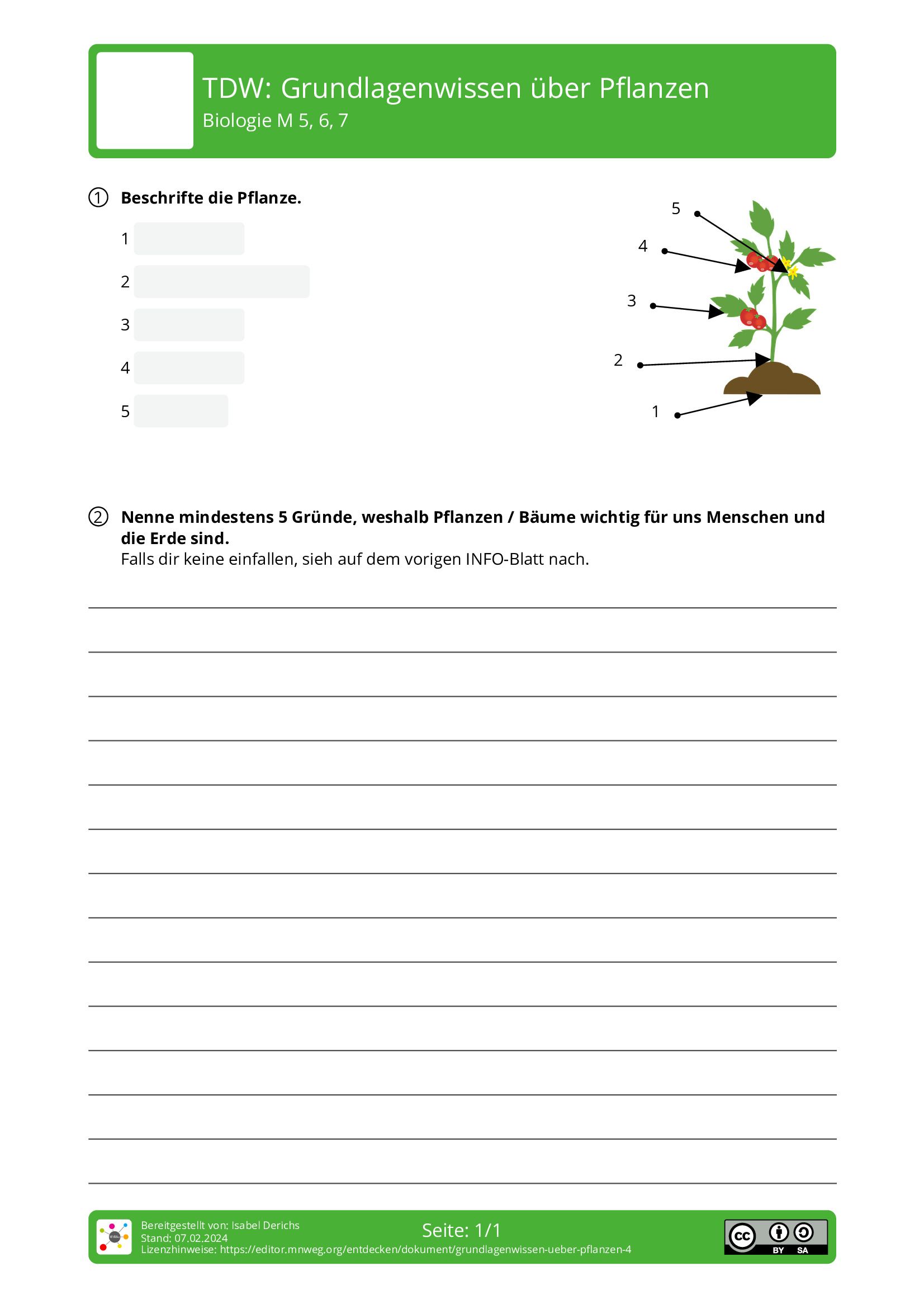 Arbeitsblatt - Grundlagenwissen über Pflanzen - Biologie - Mnweg.org