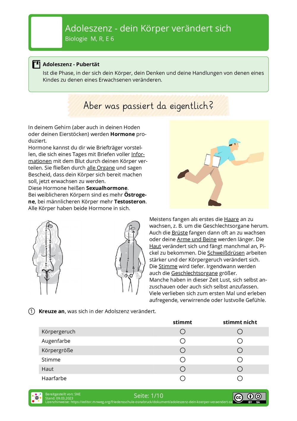 Alle 7 Jahre Verändert Sich Der Körper editor.mnweg.org