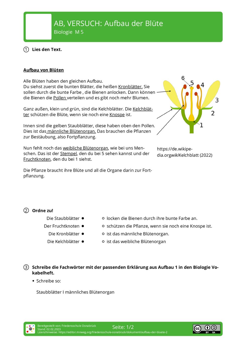 Aufbau Einer Blütenpflanze Arbeitsblatt 5. Klasse Arbeitsblatt - Aufbau der Blüte - Biologie - mnweg.org
