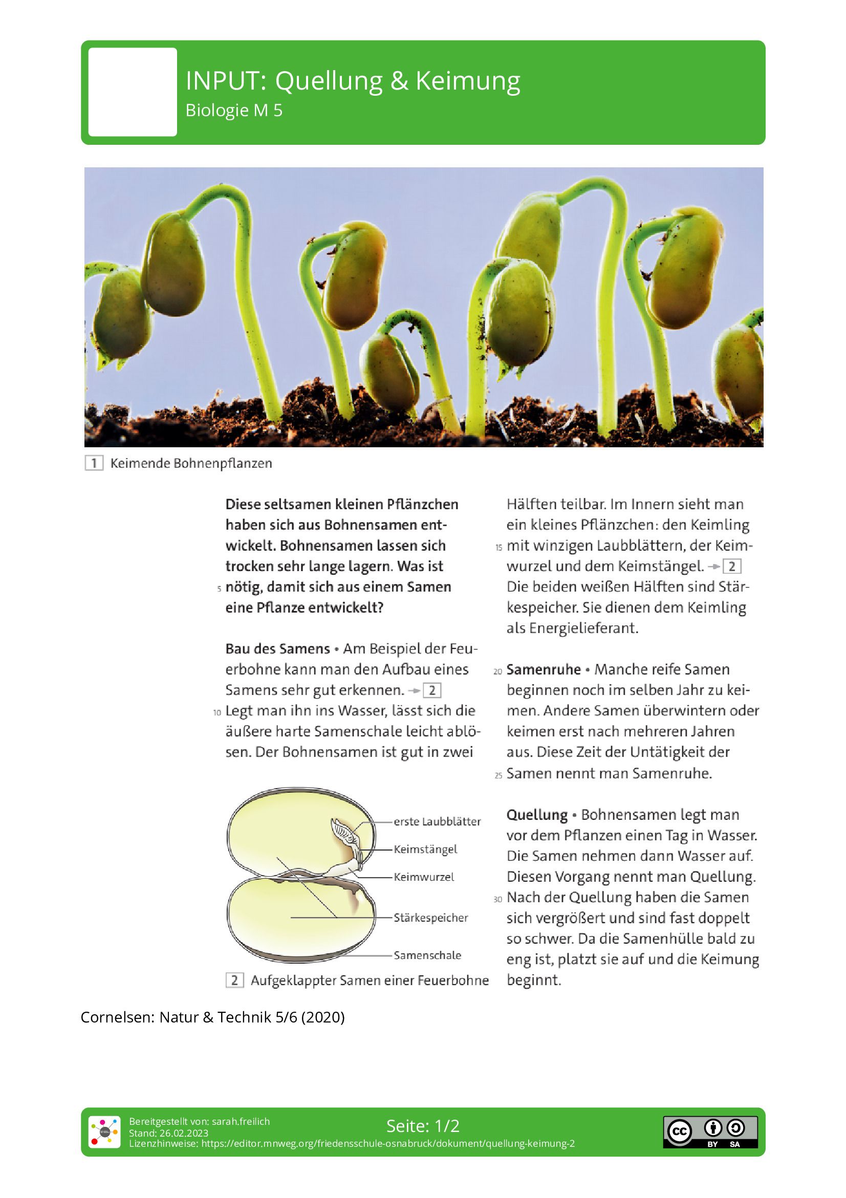 Arbeitsblatt - Quellung & Keimung - Biologie - Mnweg.org