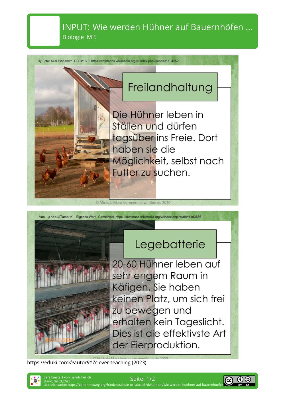 Arbeitsblatt Wie werden Hühner auf Bauernhöfen gehalten? Biologie Arbeitsblatt Wie werden Hühner auf Bauernhöfen gehalten? Biologie