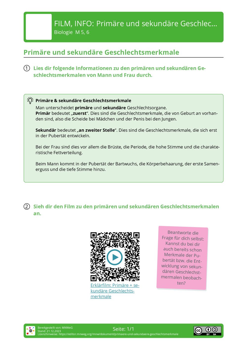Was Sind Primäre Und Sekundäre Geschlechtsmerkmale