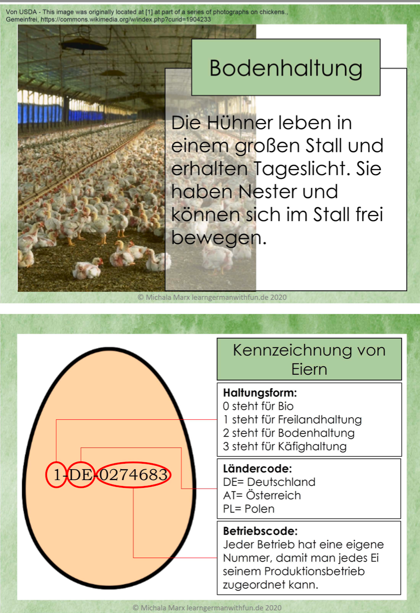Arbeitsblatt Wie werden Hühner auf Bauernhöfen gehalten? Biologie Arbeitsblatt Wie werden Hühner auf Bauernhöfen gehalten? Biologie